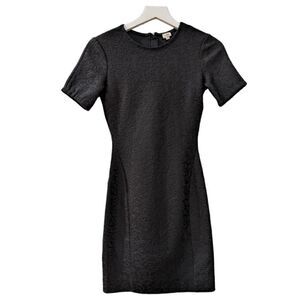 NWT Wilfred Mignonne Dress Black Lace Knit Knee Length Dress Size XXS